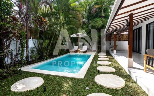 3-Bedroom Villa in Prime Area of Penestanan
