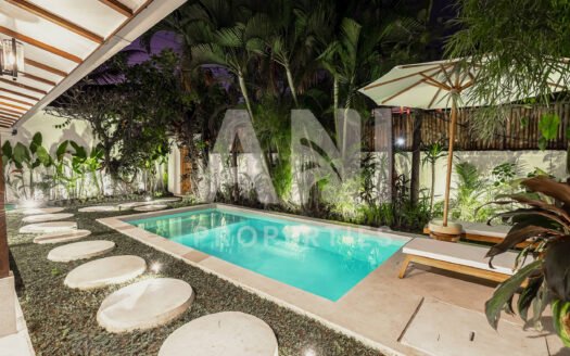 3-Bedroom Villa in Prime Area of Penestanan