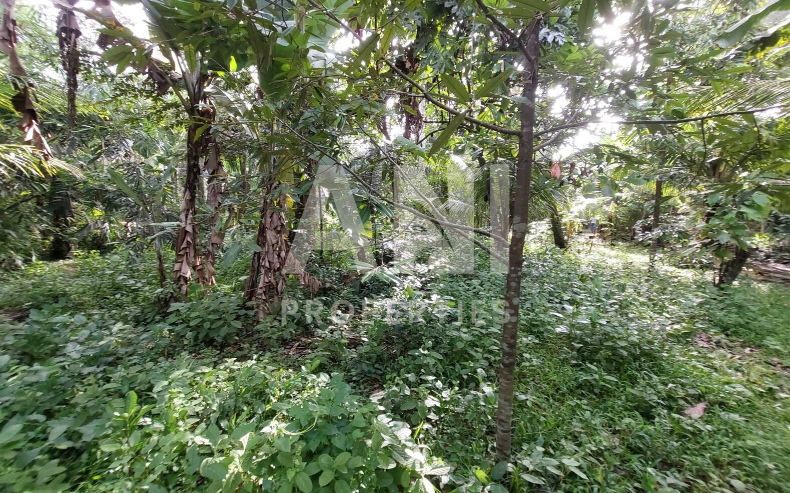 Flexible 15 Are Land for Leasehold in Singakerta