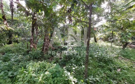Flexible 15 Are Land for Leasehold in Singakerta