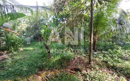 Flexible 15 Are Land for Leasehold in Singakerta