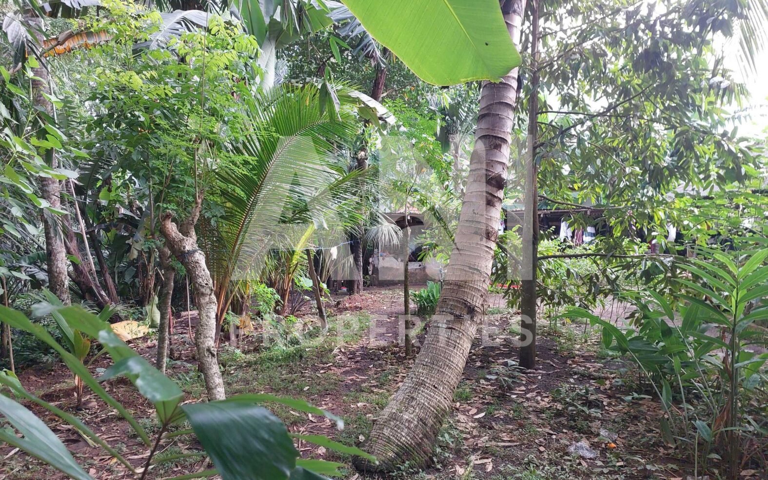 7are Leasehold River Land Singakerta