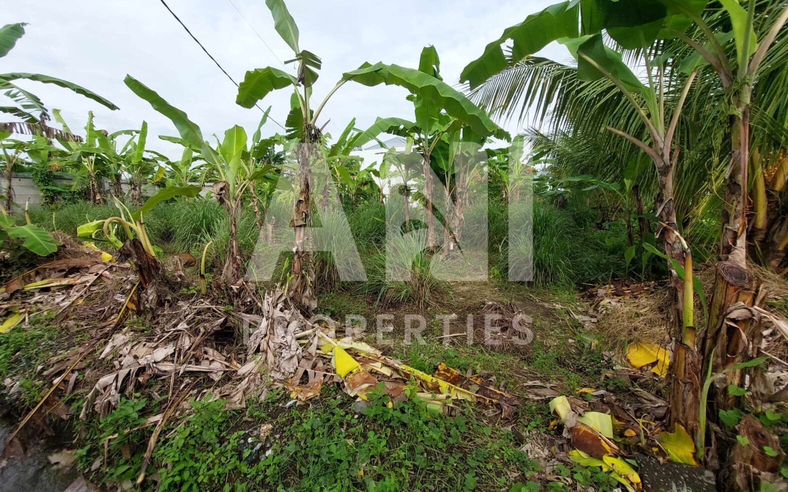 4are Residential Land in Singakerta