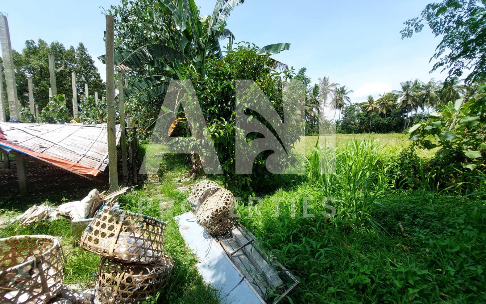 7are Leasehold Land Rice Field View in Singakerta