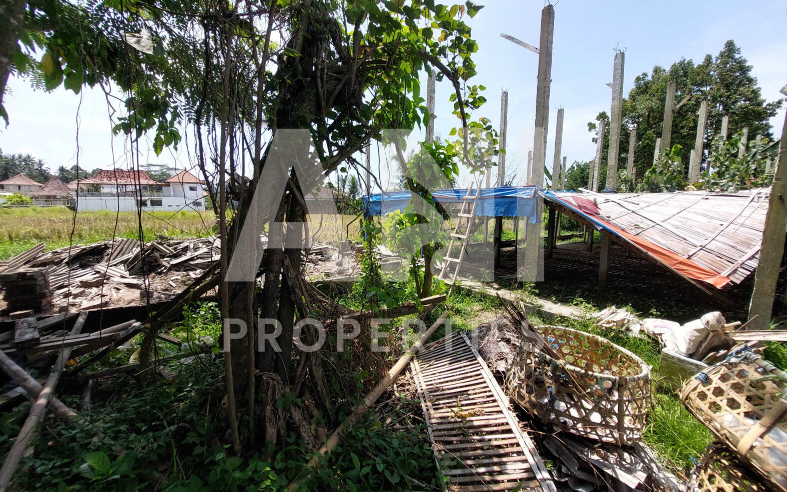 7are Leasehold Land Rice Field View in Singakerta