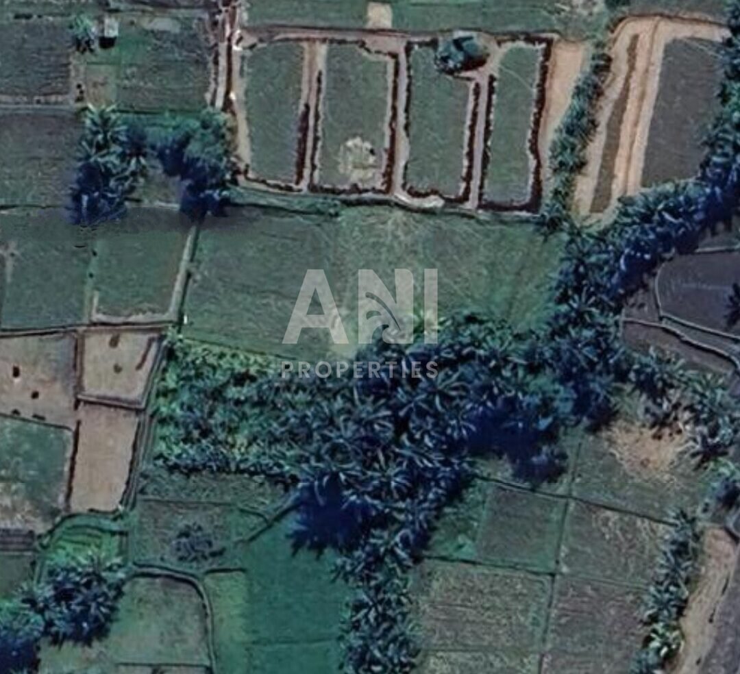 9 Are Leasehold Land in Singakerta Surrounded by Nature