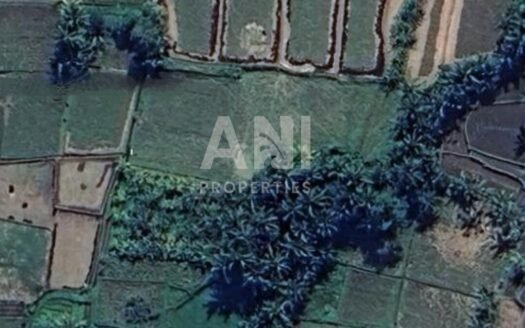 9 Are Leasehold Land in Singakerta Surrounded by Nature