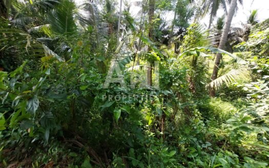 9 Are Leasehold Land in Singakerta Surrounded by Nature
