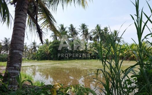 9 Are Leasehold Land in Singakerta Surrounded by Nature