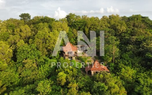 Tropical Wooden Home in Nusa Ceningan