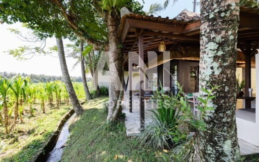 Sunset-Facing Eco Villa in Peaceful Community