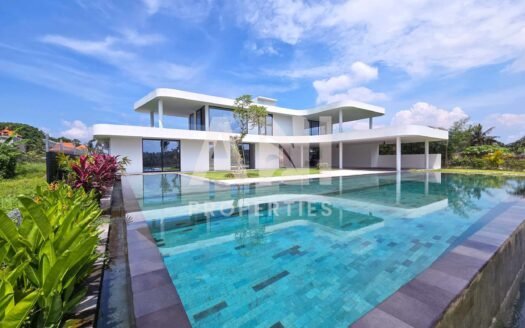 Luxurious Contemporary villa with Infinity Pool