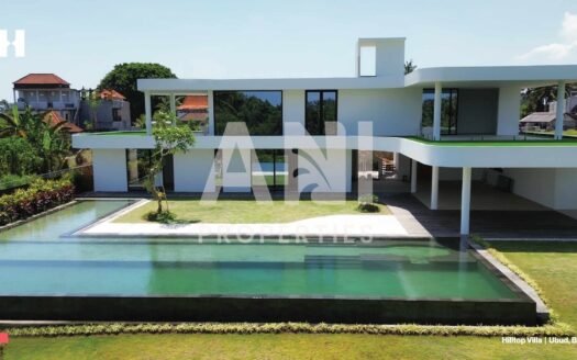 Luxurious Contemporary villa with Infinity Pool
