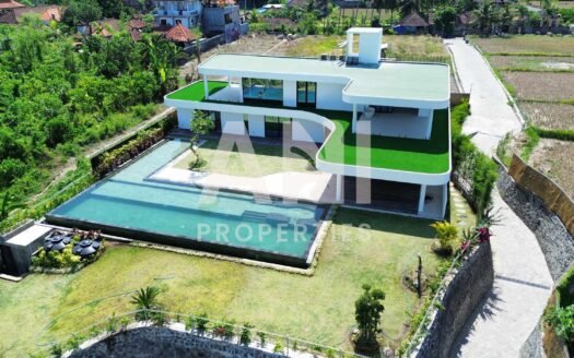 Luxurious Contemporary villa with Infinity Pool