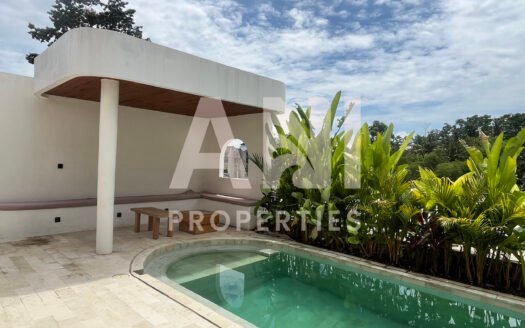 Modern Tropical Villa with Rooftop Terrace & Private Pool