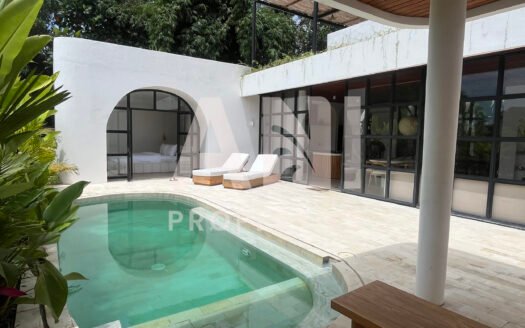 Modern Tropical Villa with Rooftop Terrace & Private Pool