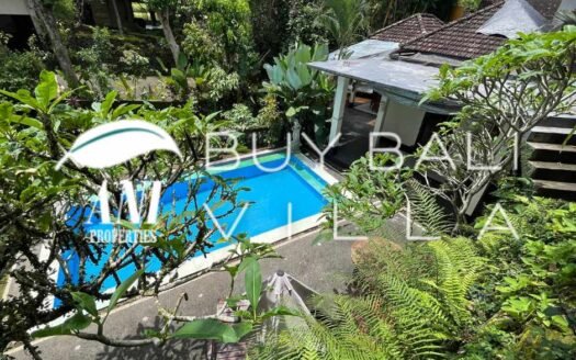 Twin Villas with Lush Jungle Views 