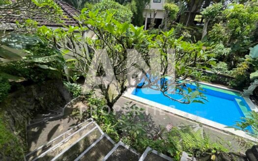 Twin Villas with Lush Jungle Views 