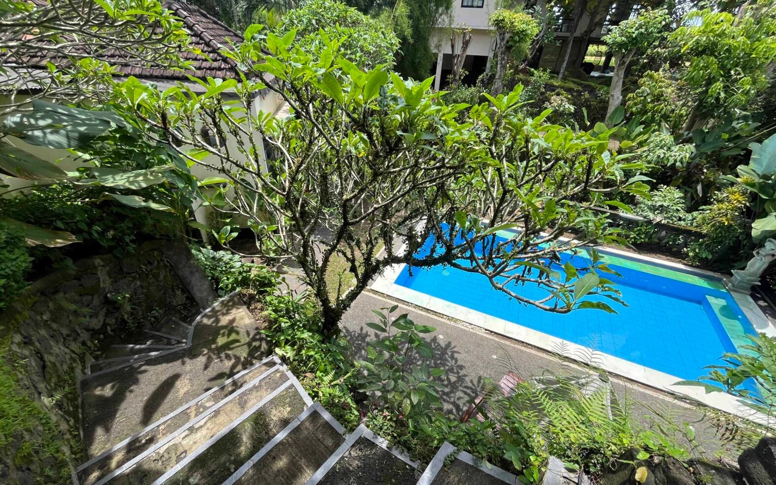 Twin Villas with Lush Jungle Views 