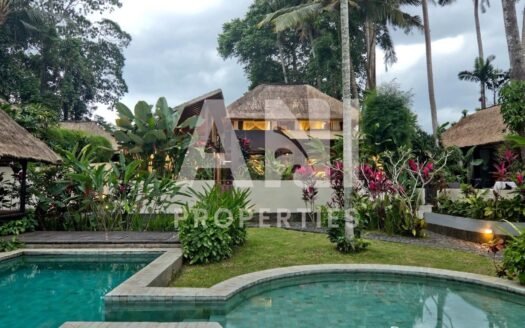 Eco Community 3-Bedroom Villa with Rice Field Views