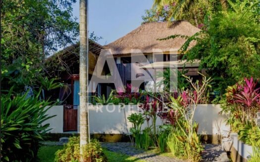 Eco Community 3-Bedroom Villa with Rice Field Views