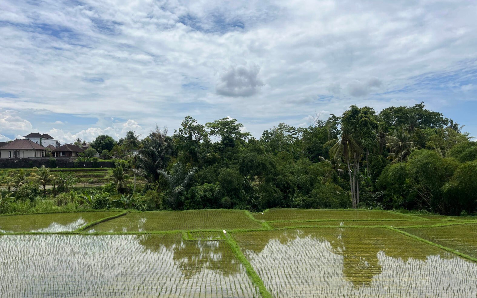 Modern Tropical Villa with Rooftop Terrace & Private Pool