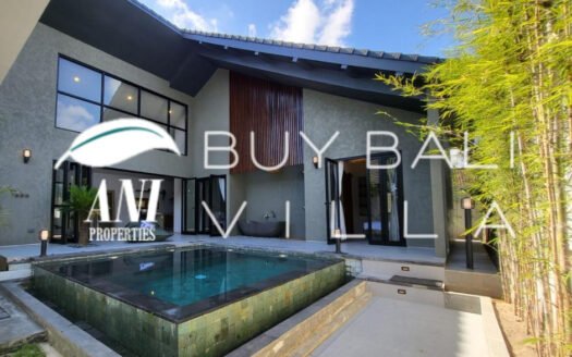 2-Bedroom Modern Home in Lodtunduh