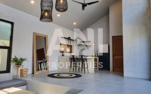 2-Bedroom Modern Home in Lodtunduh