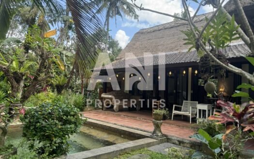Charming 2 Bedroom Villa in Mas