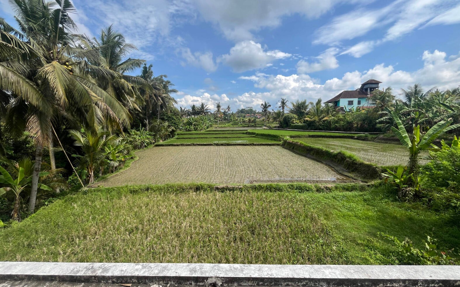 Designer 2 Bedroom Villa in Sanggingan Ubud