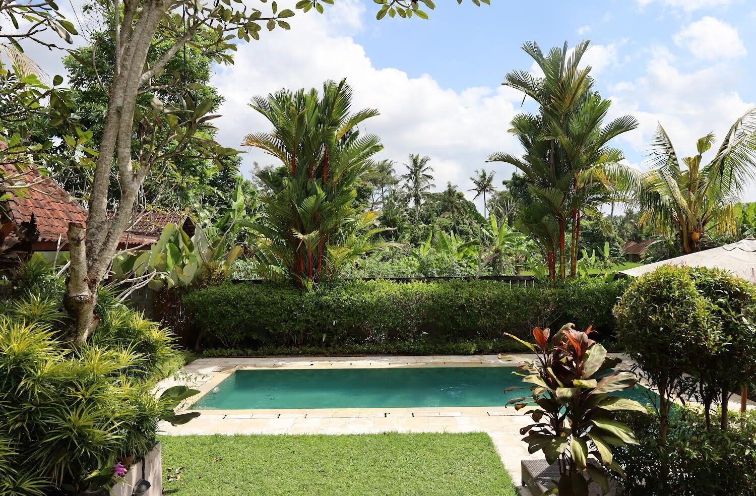 Spacious 2/3 Beds + Office with Jungle Views