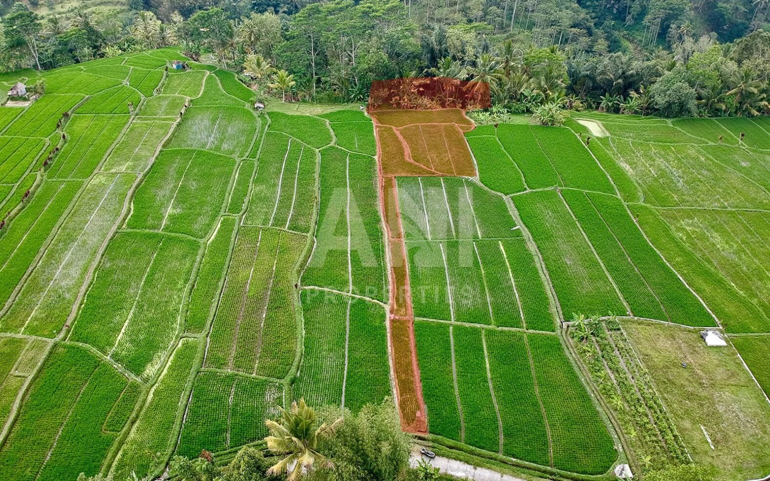 16are Sebatu Freehold Land For Sale