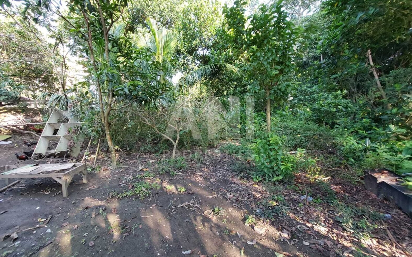 Prime Location Land Opportunity in Nyuh Kuning, Ubud