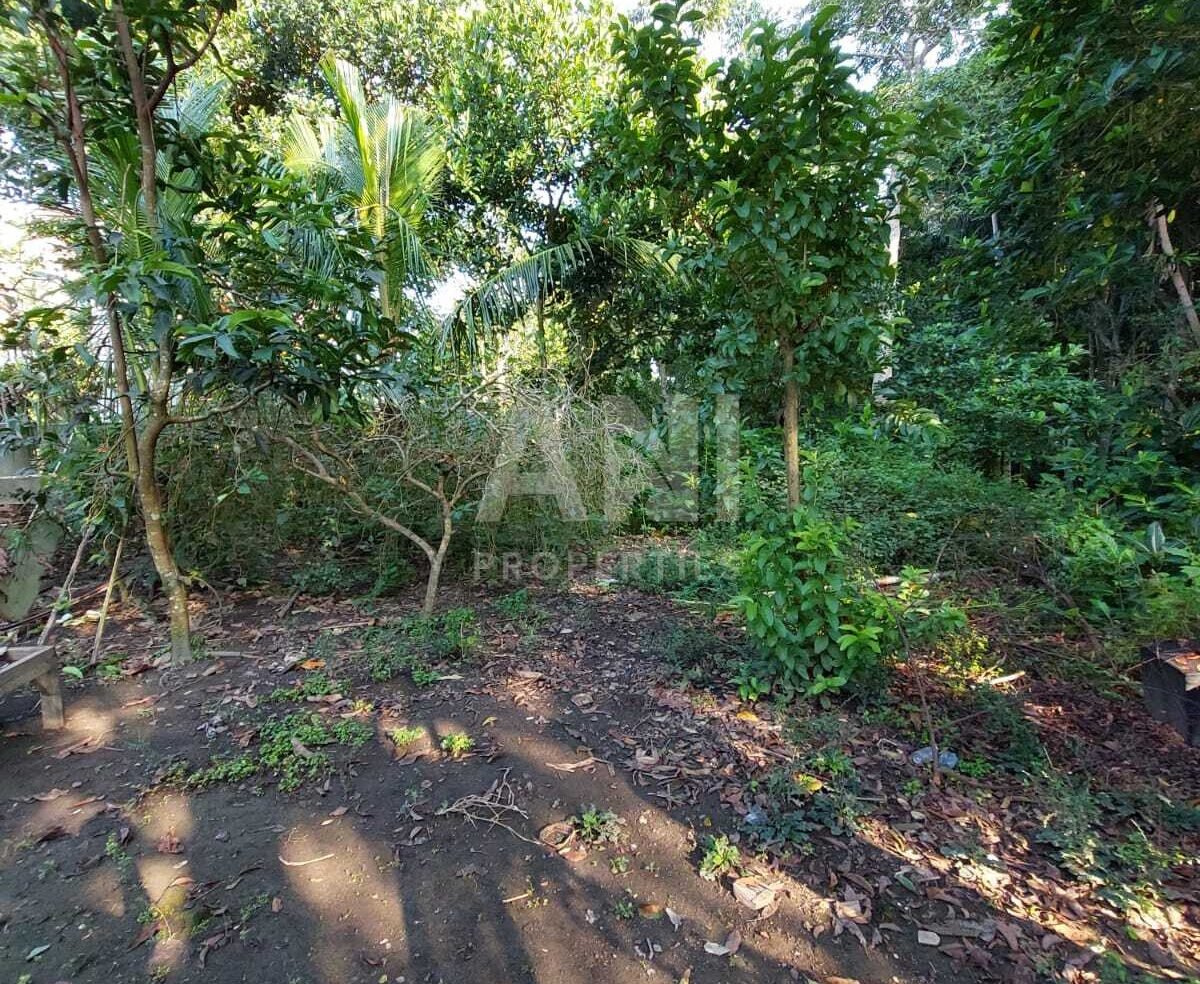 Prime Location Land Opportunity in Nyuh Kuning, Ubud