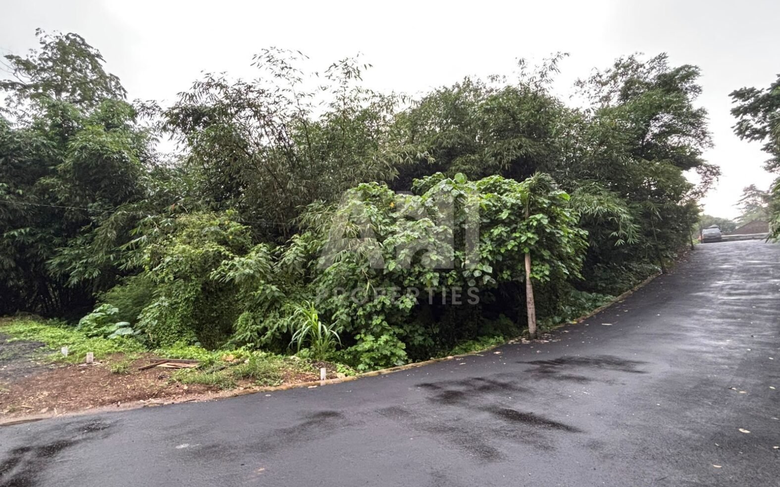 7.5 Are Freehold Land with Rice Field Views in Singakerta