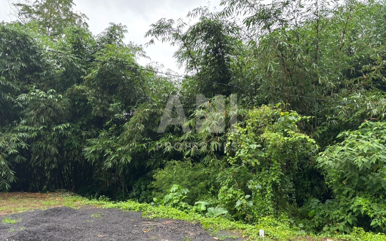 7.5 Are Freehold Land with Rice Field Views in Singakerta