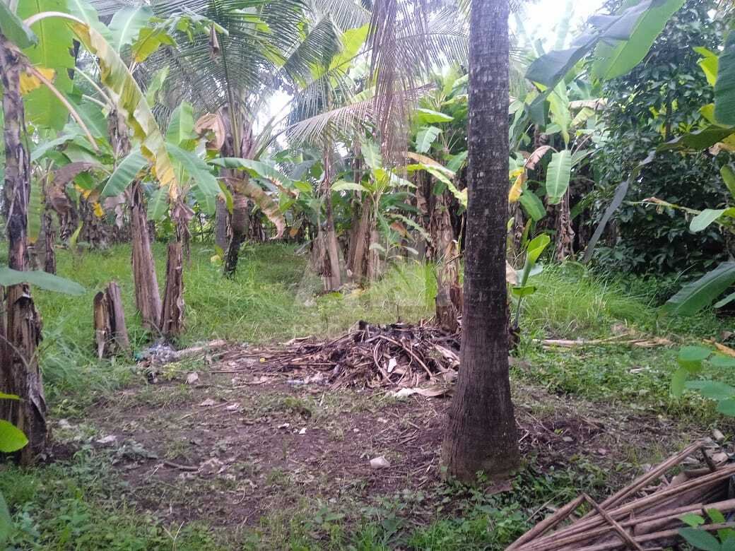 3-6 Are Tropical Leasehold Land in Lodtunduh