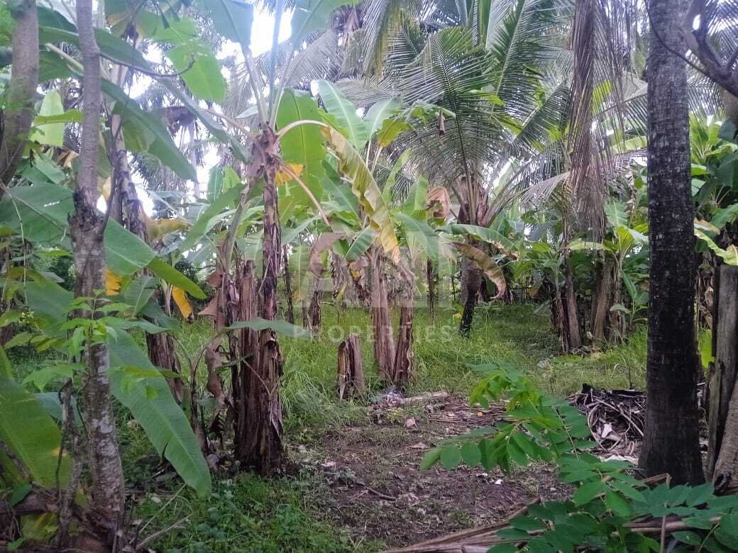 3-6 Are Tropical Leasehold Land in Lodtunduh
